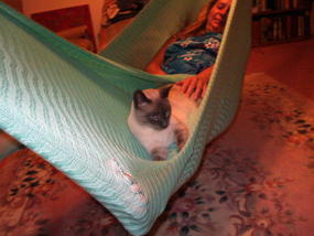Sea foam crochet hammock with Lady Hamaca and Spirit the Cat